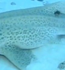 b441ad66-3203-426f-b68b-9274a50ffbc5