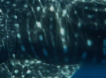 7808545e-c5f7-48a7-aa52-01d928923c61