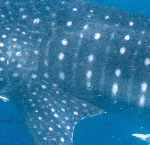 1d5edcb2-5597-4d09-a391-c80cf6bb1fb2