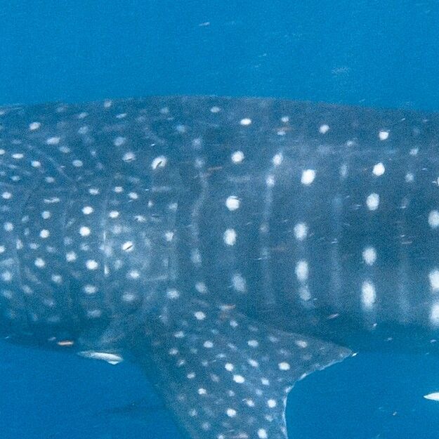 1d5edcb2-5597-4d09-a391-c80cf6bb1fb2