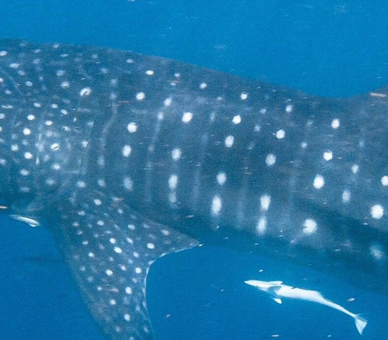 1d5edcb2-5597-4d09-a391-c80cf6bb1fb2