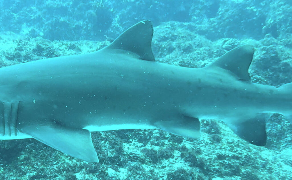 e333e76e-ec6e-4d28-9ebf-3d630e917fa2