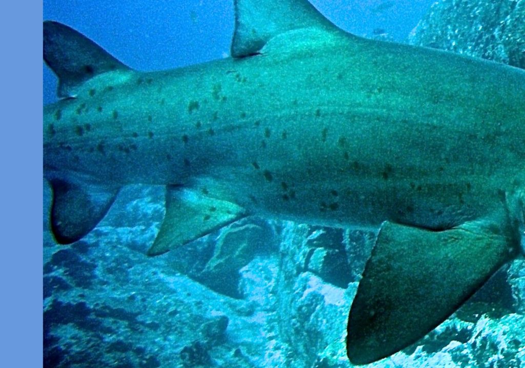 eca05273-67d7-4563-9575-75f5bd646ea0