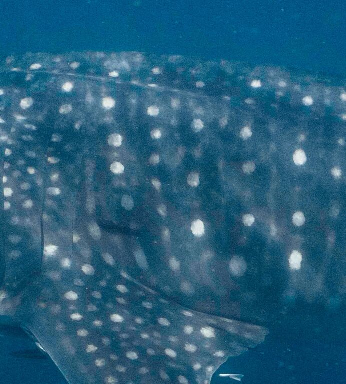 2cff0b47-20e3-4275-82fd-56dd2fee5efc