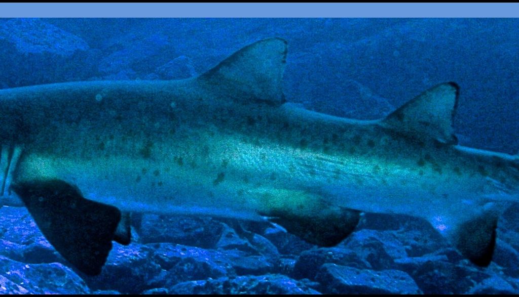 70c82ce2-7fce-4138-b37a-4d2bdbe68907