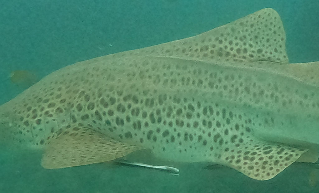 023d070a-8b35-40ca-9227-96eea01e680b