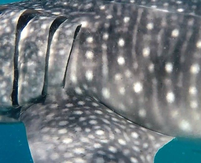 621d270a-8485-43e5-ad34-8c845ff195e3