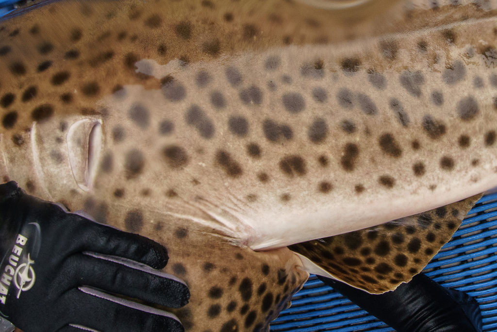 5ec13814-e3dc-47d4-8a99-aceb4cf55321