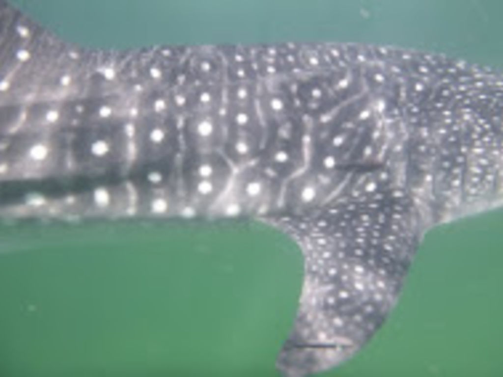 3e02f190-0a0f-43e2-b2f7-c45911915c51