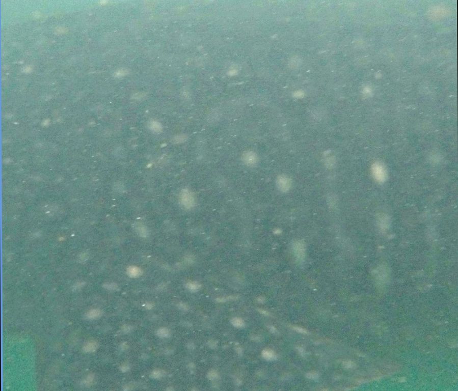 13fa1165-14e9-49b3-8a97-56ff13571ddb