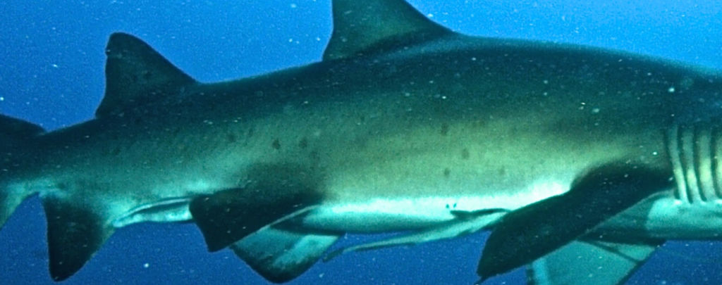 b38df928-ce74-4c8d-b92a-57d03663fe17