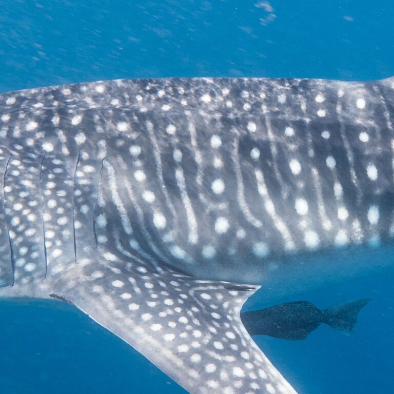 252ee35d-ff72-414f-b560-b1fe73ca0915