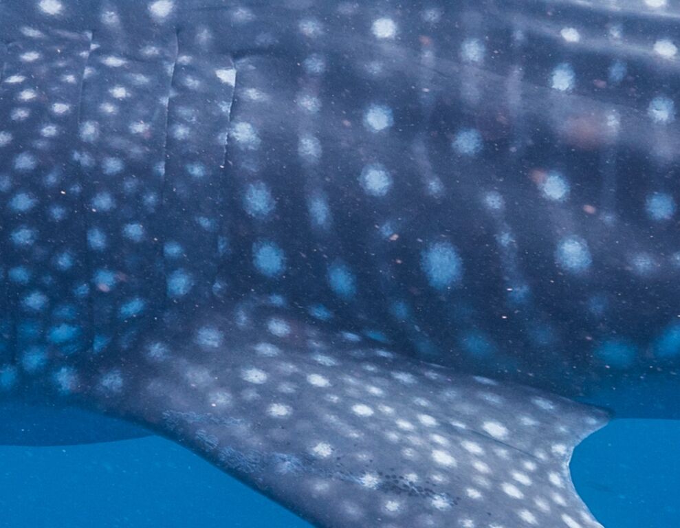 5327afa2-3a23-4b8b-b538-87d8a1c73252