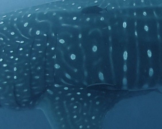 556b5687-008b-421b-8924-05d2b257c729