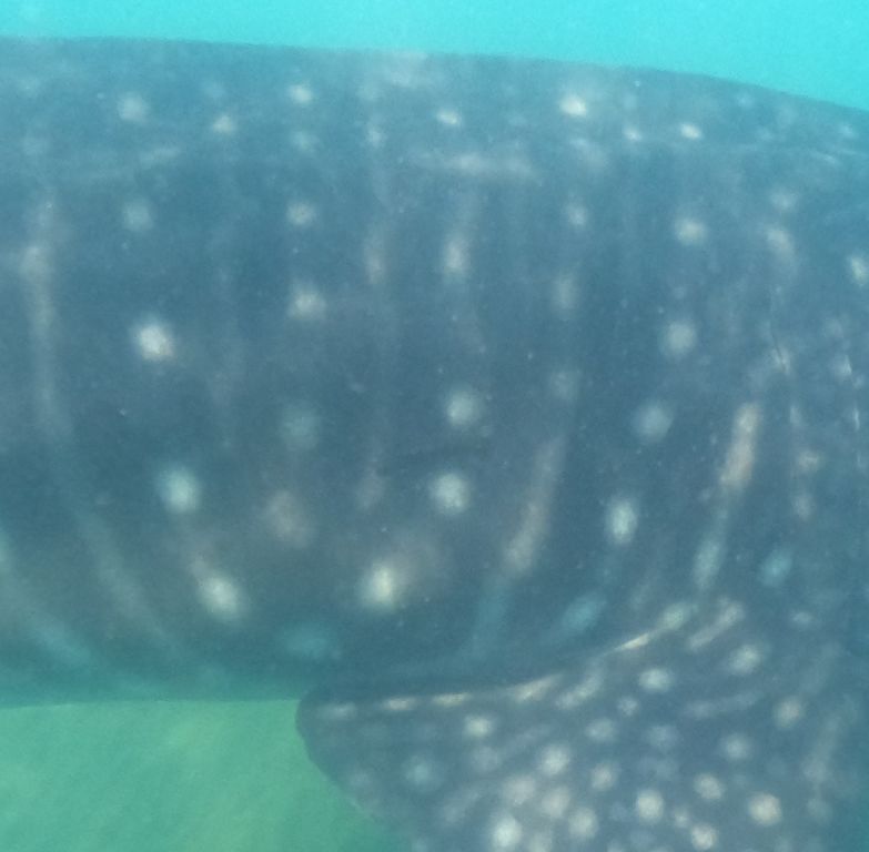 d23ce119-05d6-4049-ad71-0b0dacb737f5