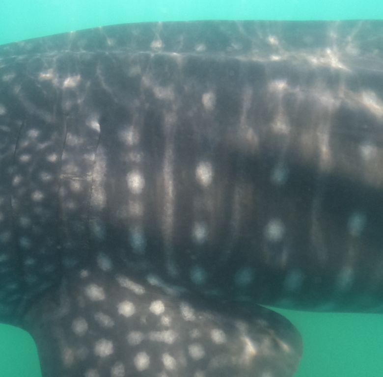 d23ce119-05d6-4049-ad71-0b0dacb737f5