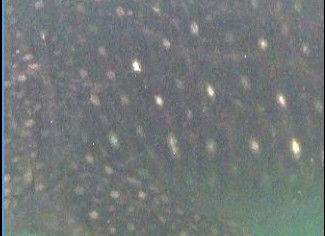 fc980109-cb52-416e-aa68-efc041599ea1