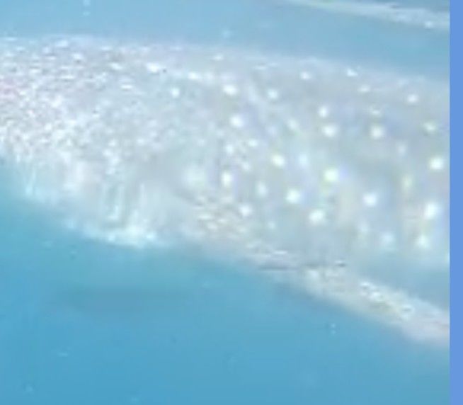 d99b7a59-97e5-4cd2-adca-7713c09672de