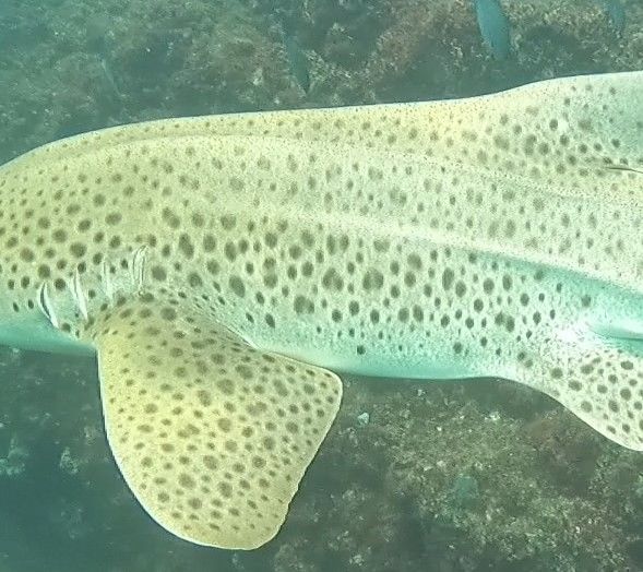 5f37f3d3-56c4-4c50-b173-ef9971ec4262