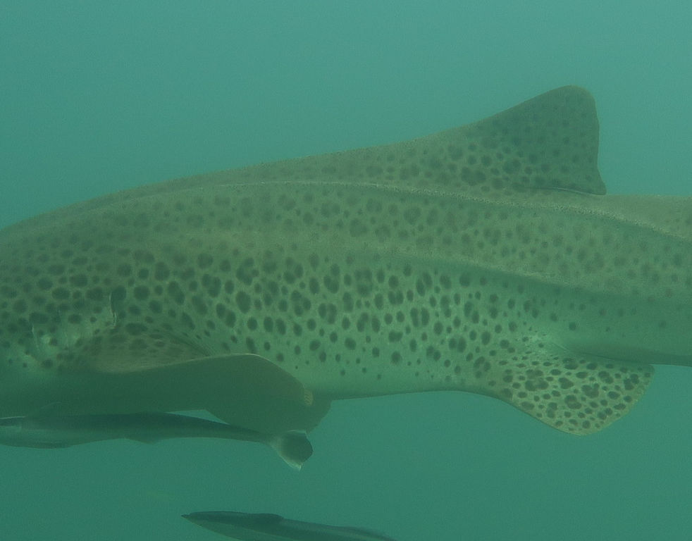 1f9b74a8-d0f8-42f2-a915-9fca84344d51