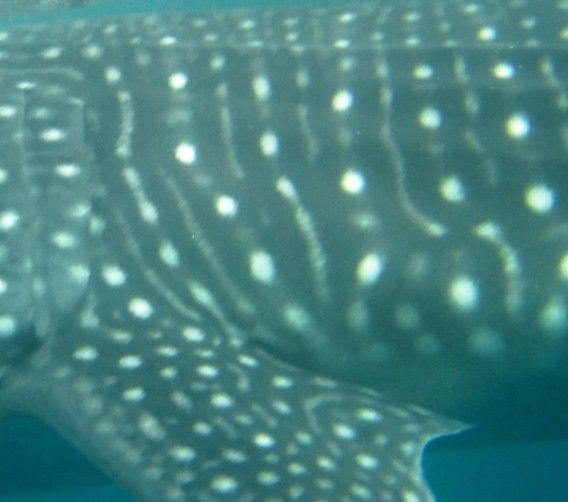 b1f45189-e50a-4b0a-b336-5f41f03419ea