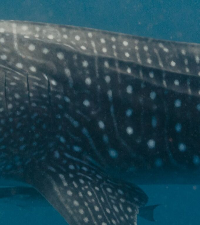 1a98dbf1-f18a-4340-b8ce-51a3e2163515