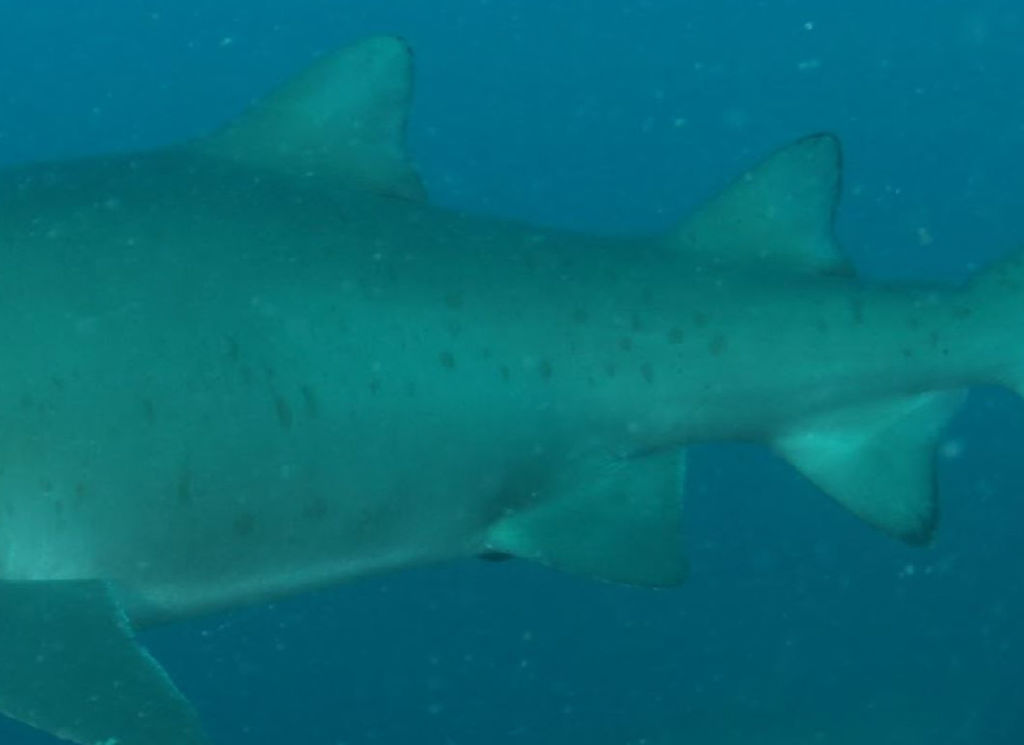 8a269af6-7cf8-4692-ac0e-f02a0fd01aac