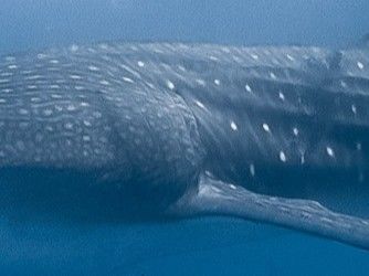 54daf442-f599-467d-9f83-f9812016ad46