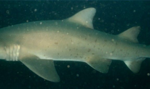 5080926c-69dd-471b-9ab2-a70de72d8064