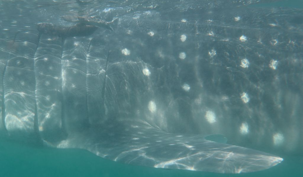 5a7a810b-5026-40a6-a5f8-0881163a652b