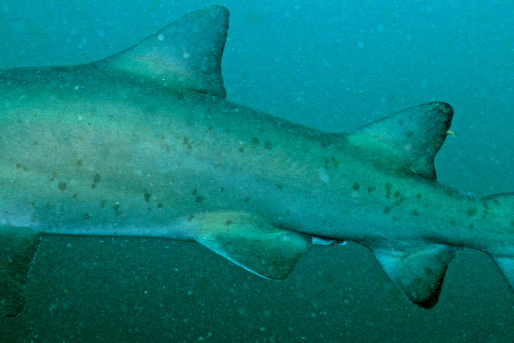 029042bc-0faf-49c4-aaba-bf6b5d503e48