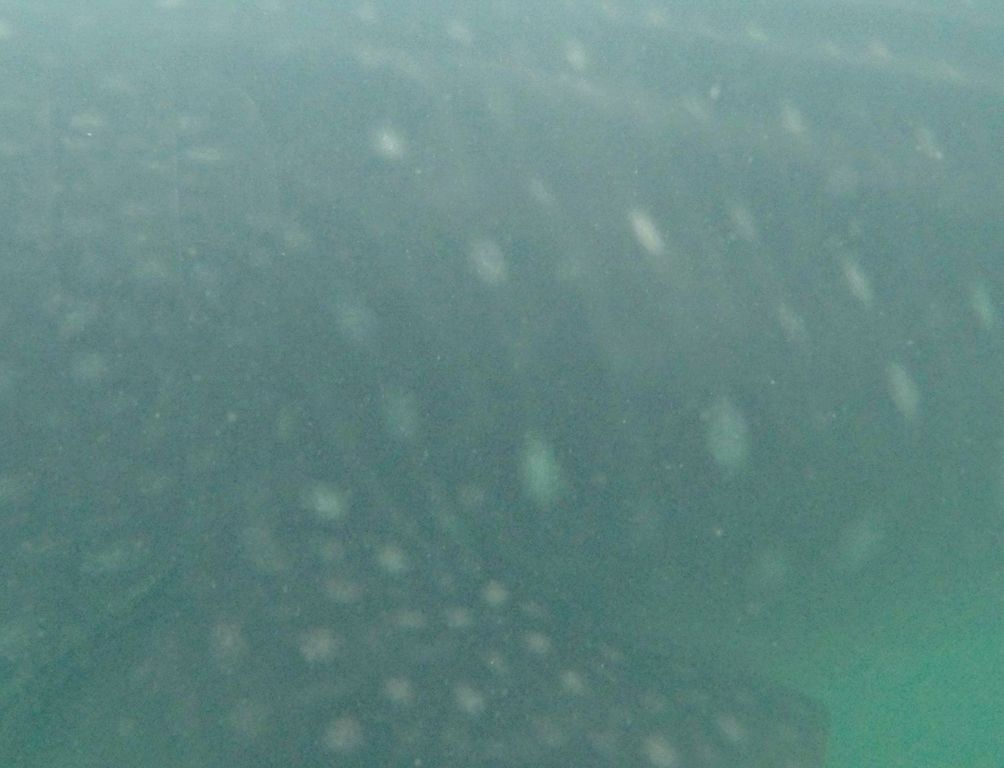 b611d02f-f670-4cca-a5a3-f650a6127e18