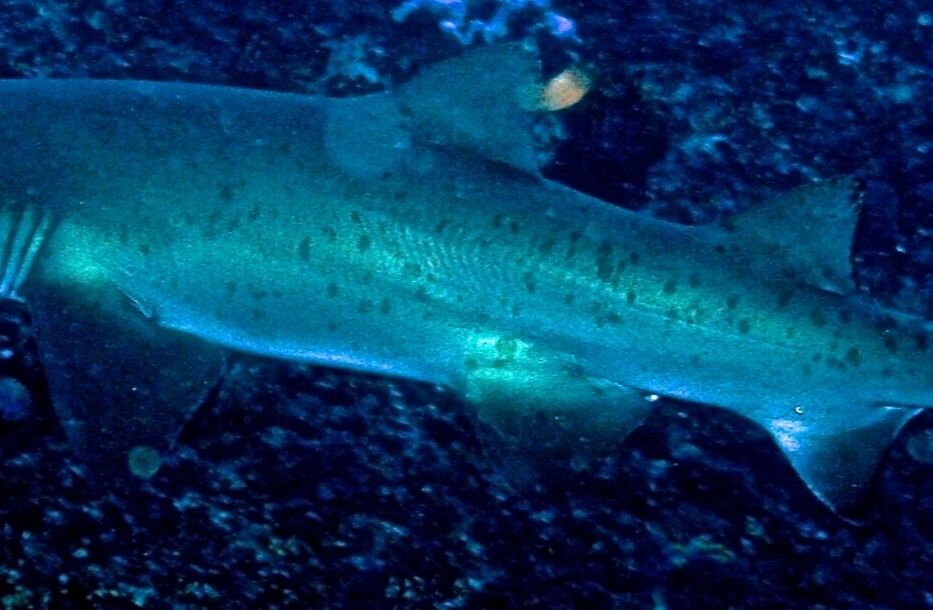 46be7d95-029e-4a25-b96d-ed883cd600f8