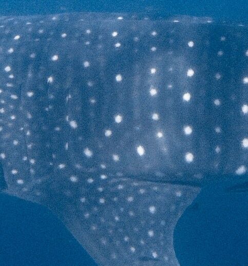 5887af18-6d34-449d-b540-811fc36586b9