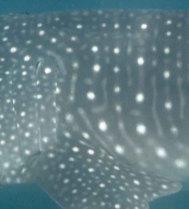 52d0857d-c017-413a-bf0d-be0d3731e90b