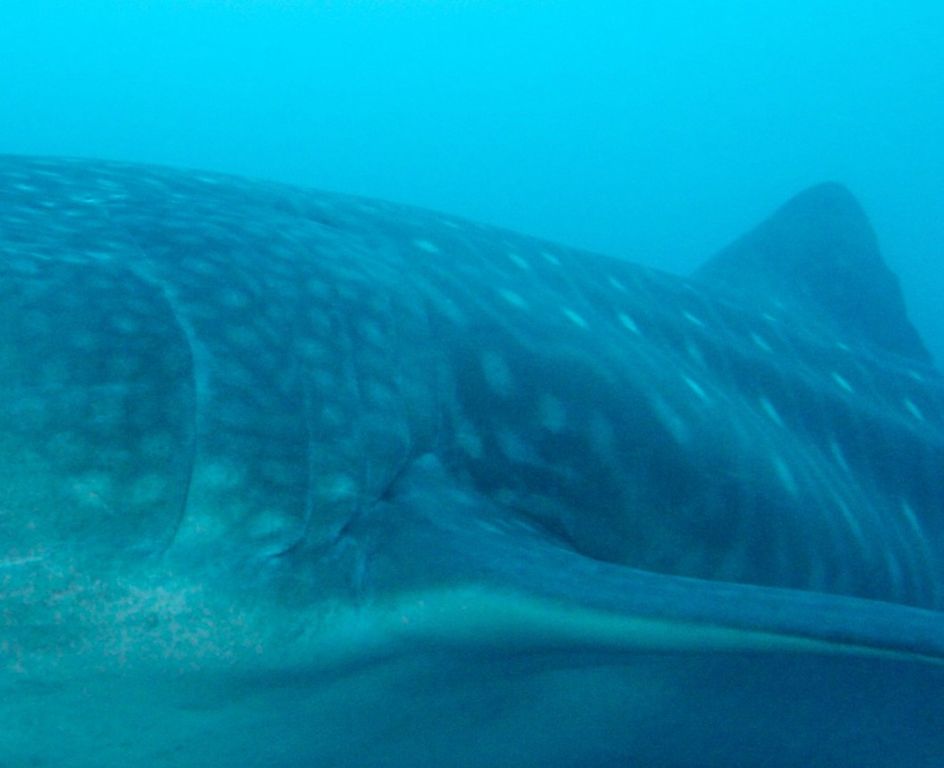 e4a13035-f054-451e-b065-388aec1b91e3