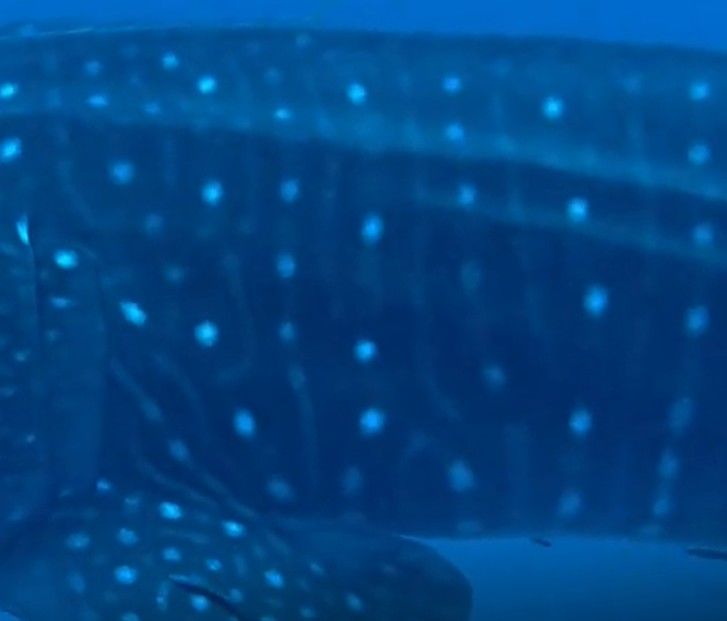 be18f5a1-c83d-422e-b4d1-43e71a157fd0