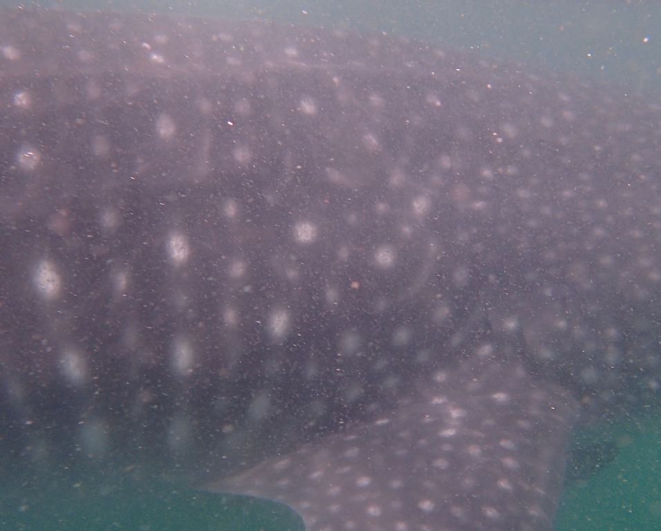 8410ae64-5b40-47ae-916f-a71f34236492