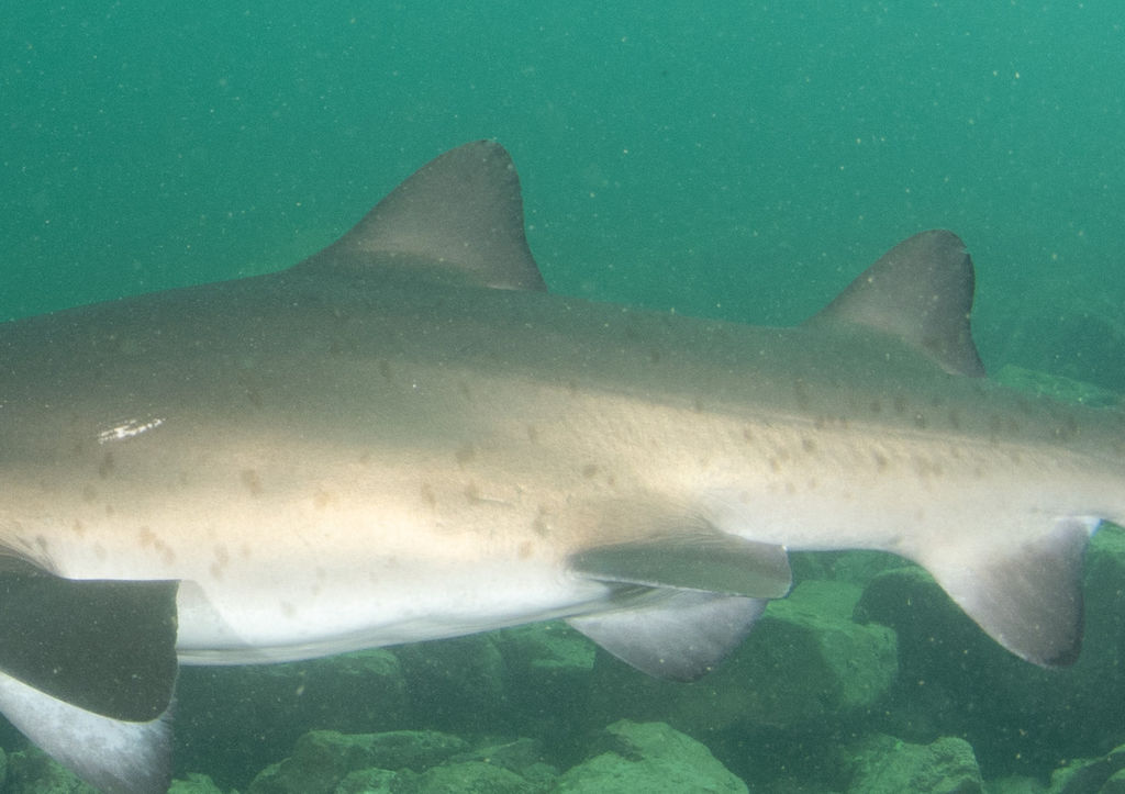 353a39e1-1eee-4f0b-9948-910feaa97284