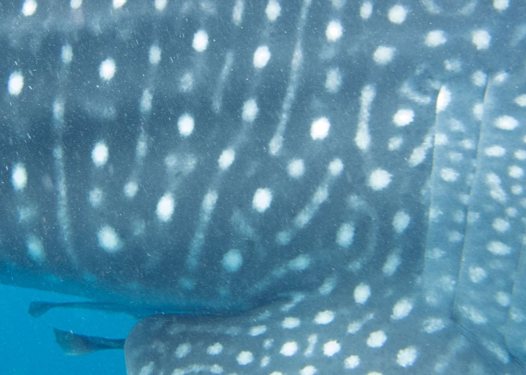 f0443a09-bfe0-4fee-9cfd-b9661eb88360