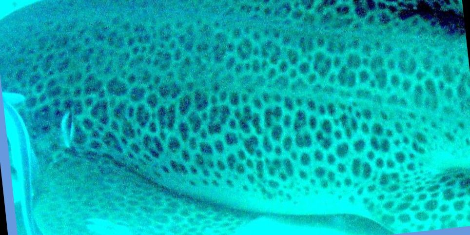 6945b405-43e8-41eb-97c0-91f3beea7abf