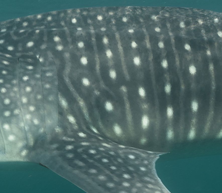 5011e055-415f-403c-a29a-3a0eb9b9d946