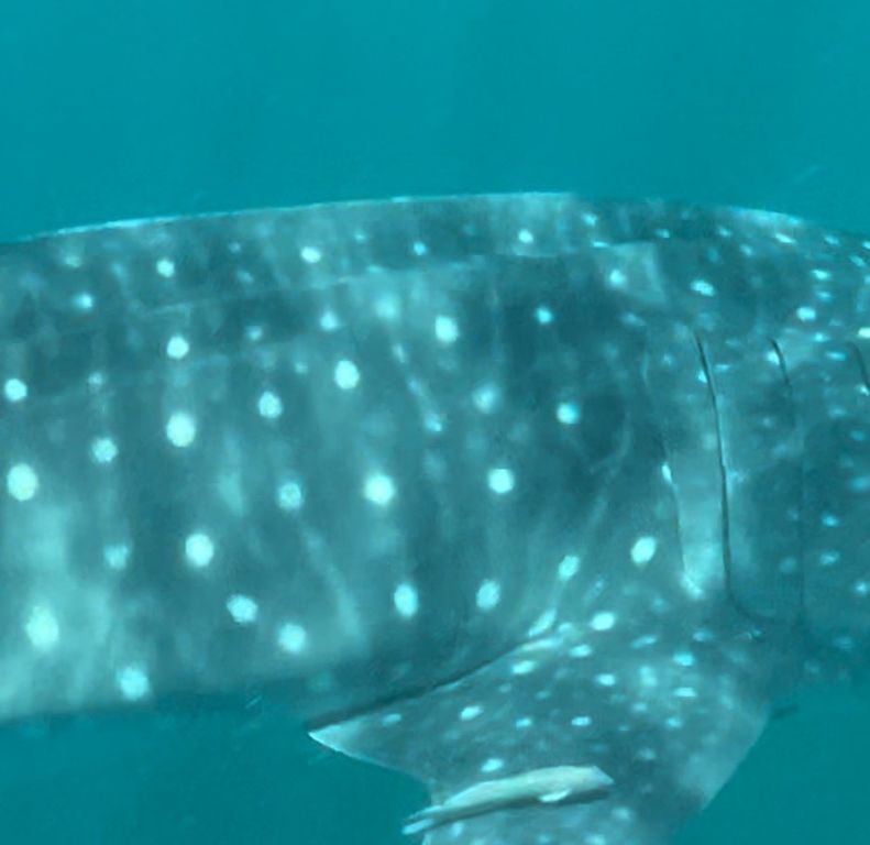 254de3b6-b588-4059-83e8-911dfb540c0b