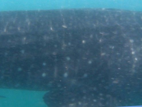 4c2f169b-bc81-4481-a8a4-d74d961881b9