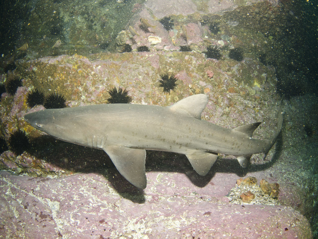 3e01e8cc-388a-400e-9c71-875a660c0f16