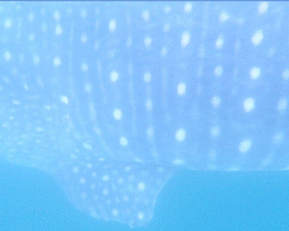 b516817b-2e69-4a8a-becc-e3a0583d14b0