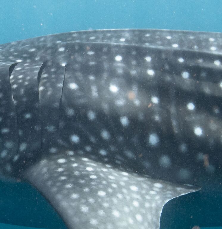 3689345d-781e-43aa-ad30-15713a4b6a3c