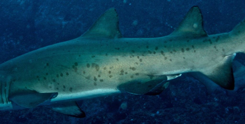 cfd6b84c-2ab6-4472-9fbd-5317162e0dd5