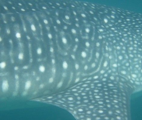 1d978959-22be-459d-8971-68bfe9ed4d9a