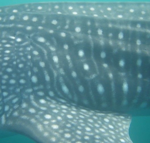 1d978959-22be-459d-8971-68bfe9ed4d9a